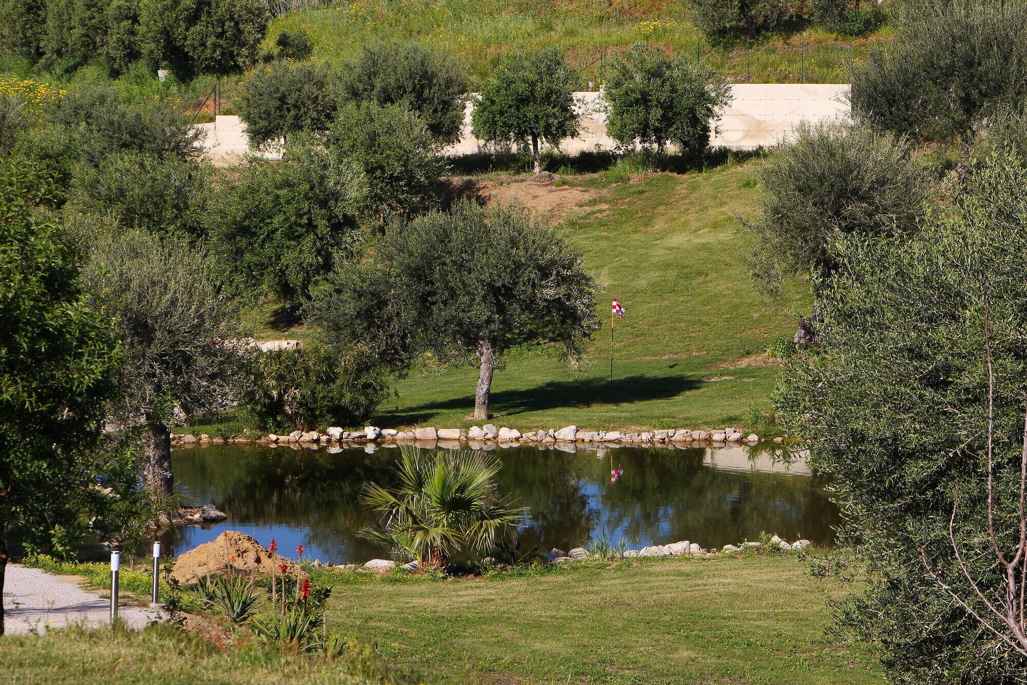 Rauhallinen maisema, jossa on lampi, puita ja ruohikkoalue.