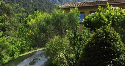 languedoc / Caudies. Superbe villa tranquille avec piscine | Vues étonnantes