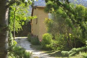 Àrea exterior de l'allotjament