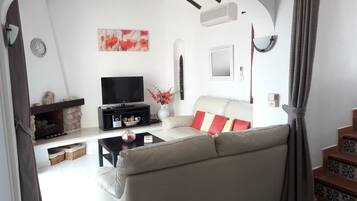 Télévision, cheminée, lecteur de DVD, livres