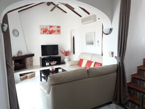 TV, fireplace, DVD player, books