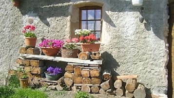 Esterni
