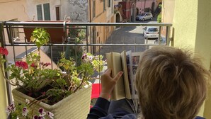 A balcony with a view of a street, a potted plant, and a person reading a book.