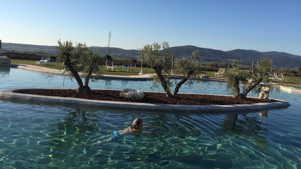 A swimming pool with clear water, surrounded by trees and a view of hills.