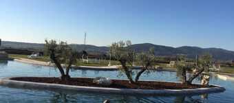 Utsikt på takene i den gamle landsbyen og oliventrærne i Maremma mellom innsjø, sjø, spa. WIFI