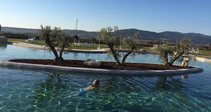 Old "borgo" in Maremma among olive groves, etruscan treasures, lake and sea.WIFI