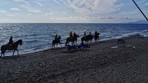 A beach with people riding horses along the shore, a clear sky, and the ocean in the background.
