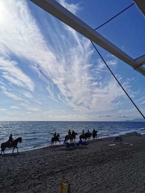 Serviettes de plage