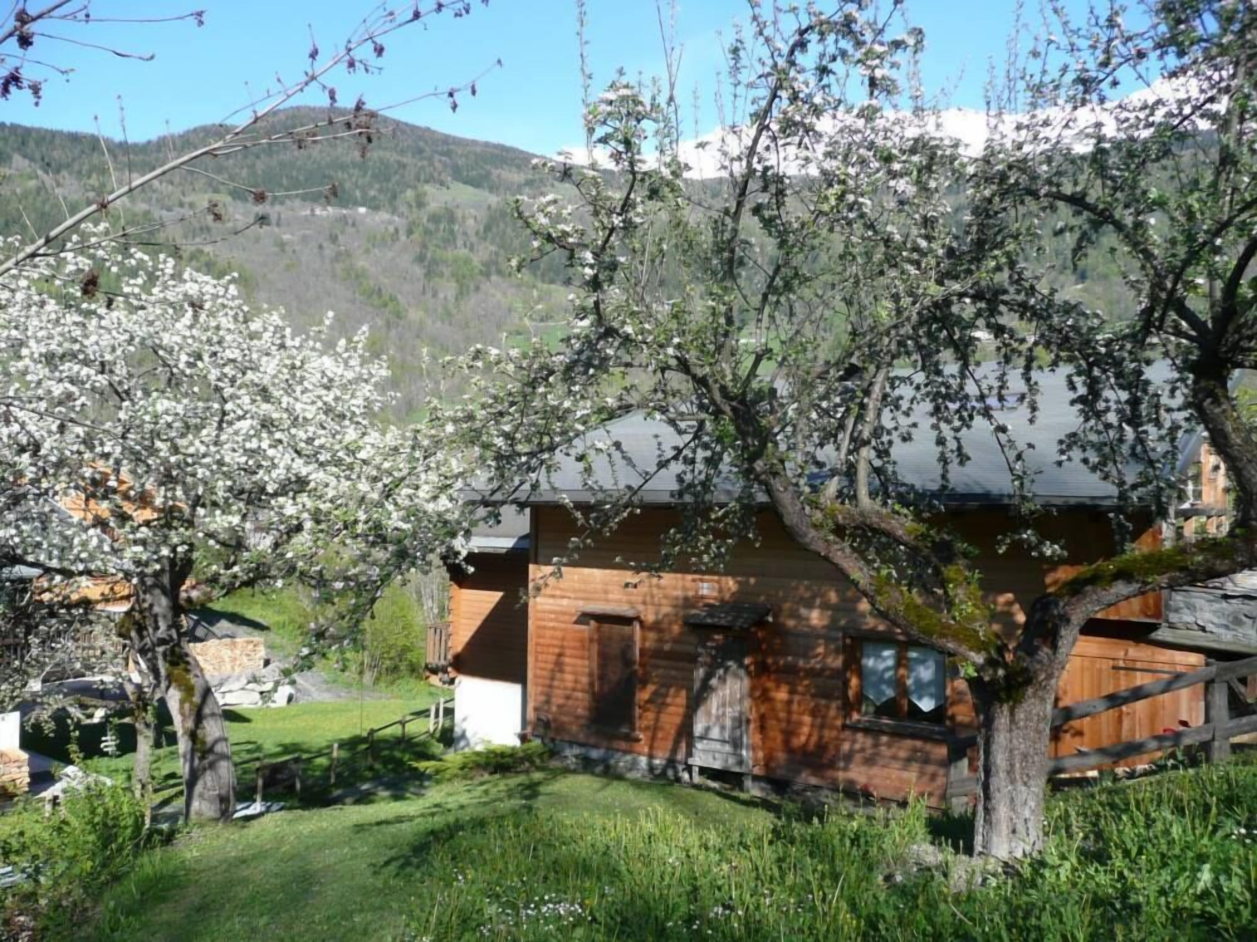 A rustic wooden cabin with a sloped roof, surrounded by a lush garden and a backdrop of mountains.