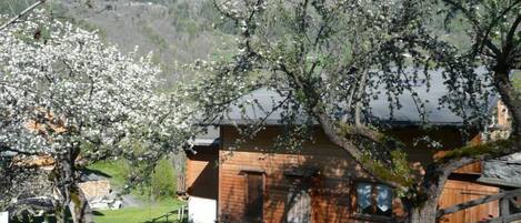 A rustic wooden cabin with a sloped roof, surrounded by a lush garden and a backdrop of mountains.