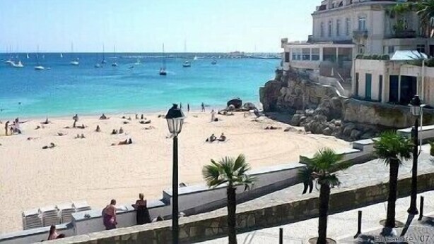 A beach with a building overlooking the sea, featuring a stone pathway, palm trees, and a clear sky.