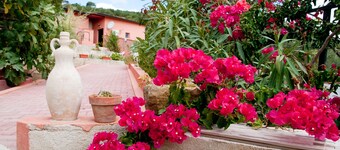 4 cottages in Sicily x16 people in Villa Angela