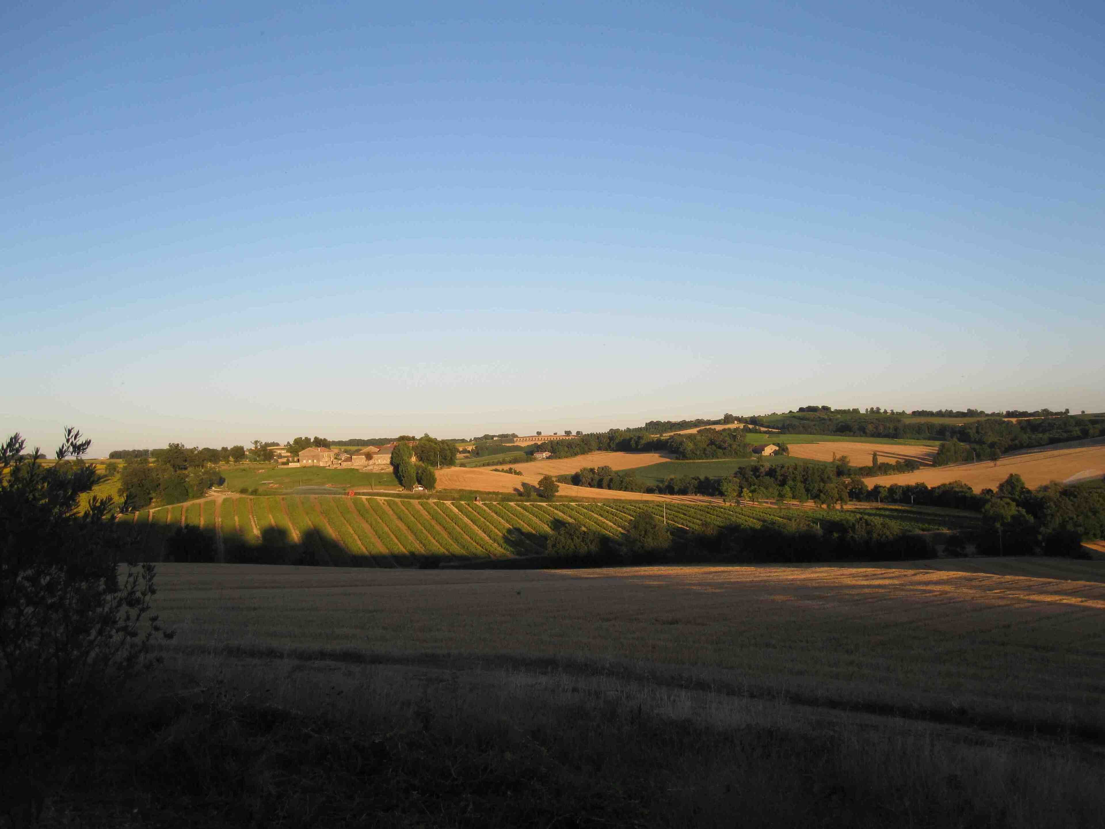 Ländliche Landschaft mit Feldern, Bäumen und blauem Himmel.