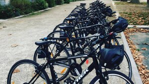 En rad cyklar står uppradade längs en trottoar i ett historiskt område med vackra byggnader och träd.