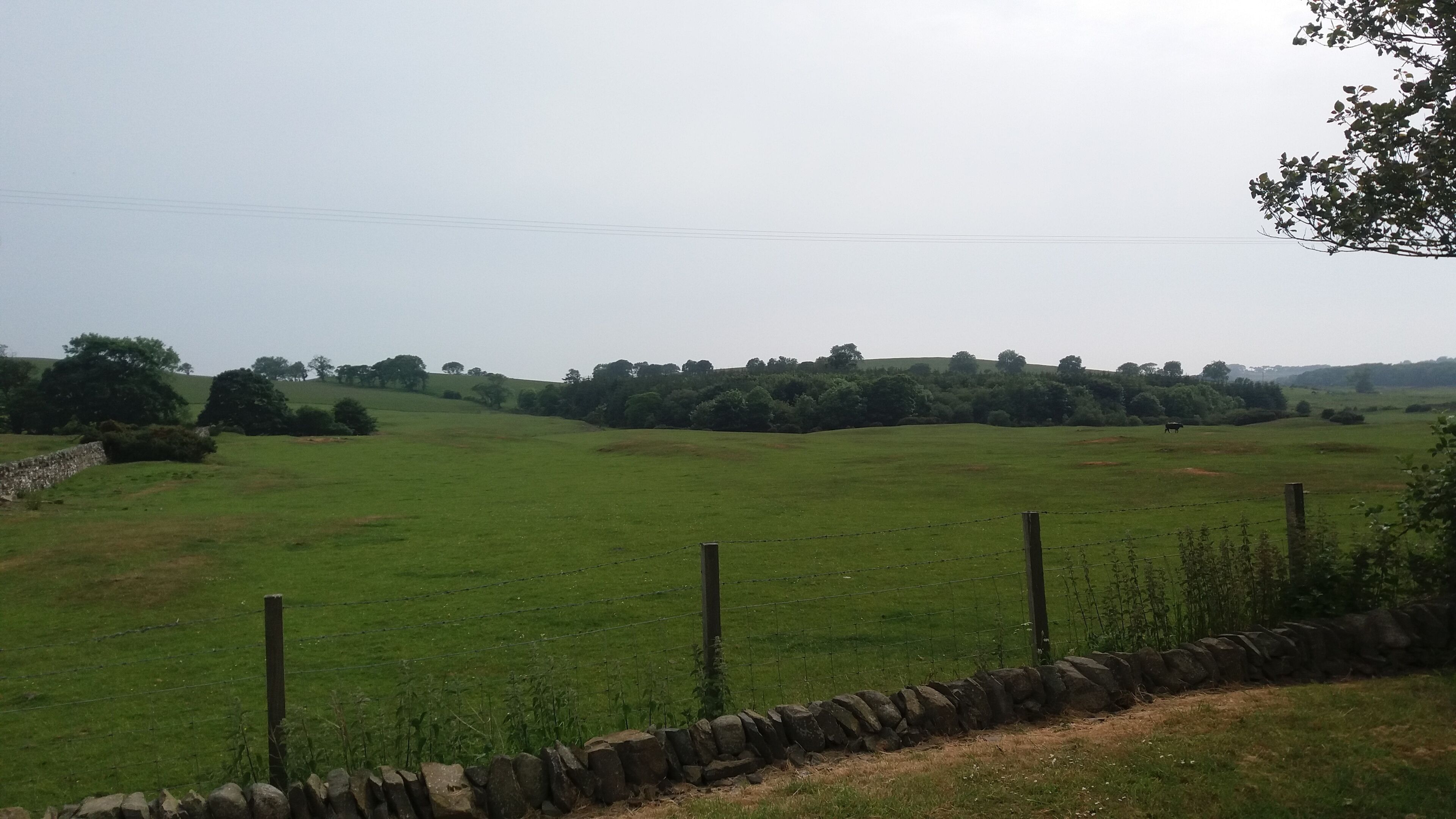 A rural landscape with a stone wall, a grassy field, and trees in the distance.