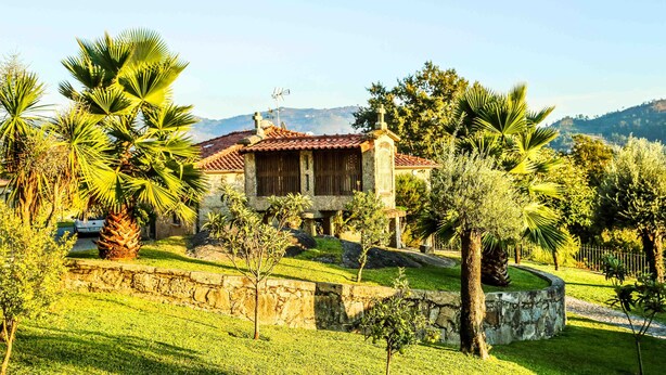 Una casa de piedra con techo de tejas, rodeada de abundante follaje y palmeras.