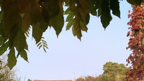 Un sendero de piedra conduce a una construcción rústica con techo de tejas, rodeada por un jardín con diversos arbustos y una pequeña estatua.