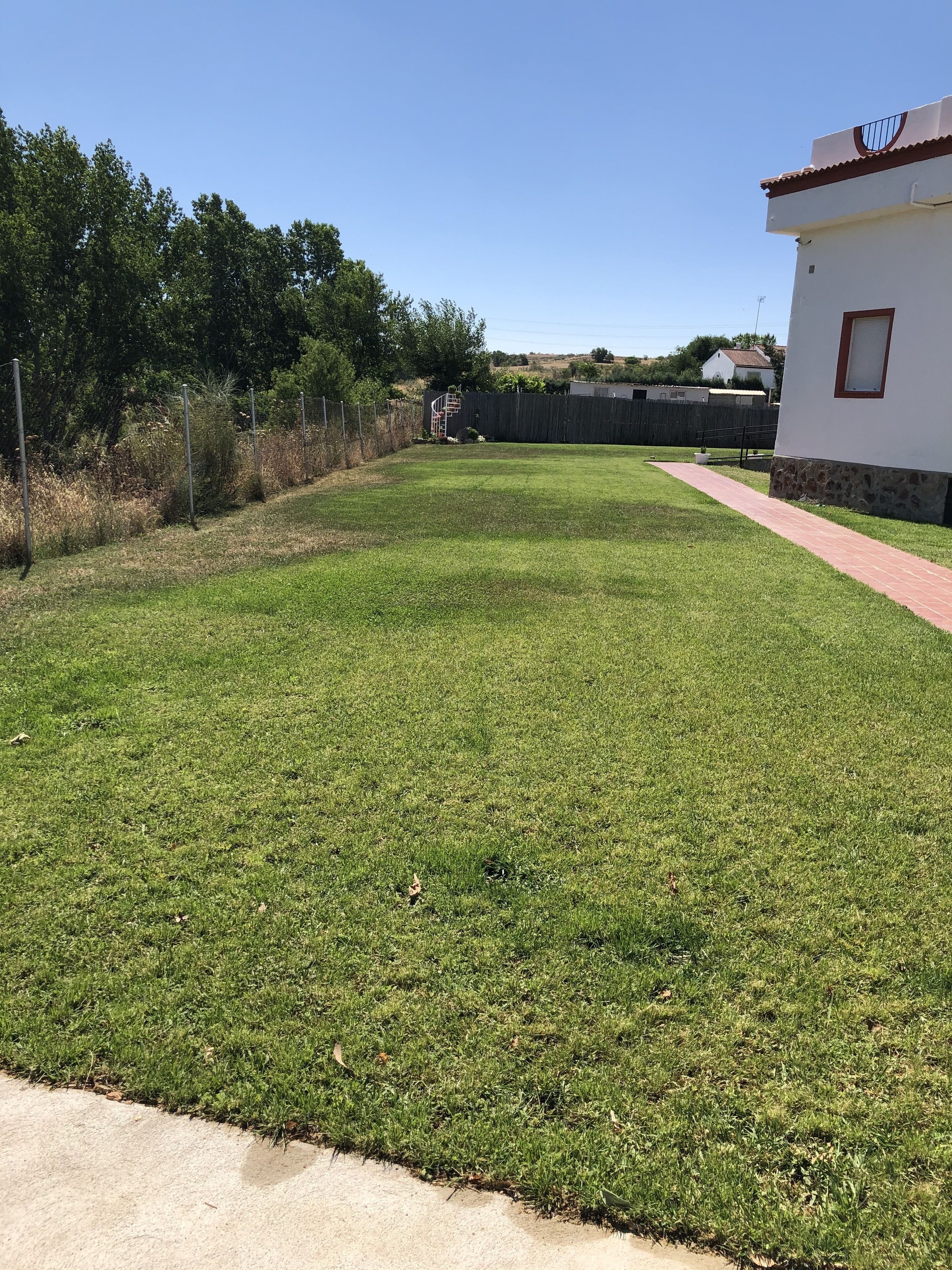 A well-maintained grassy yard with a paved walkway leading to a white building with a red trim.