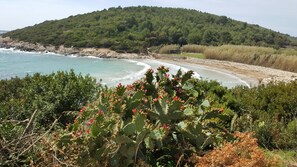 Plage à proximité, chaises longues