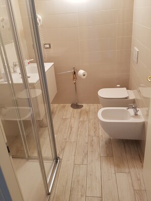 Shower, hair dryer, bidet, towels