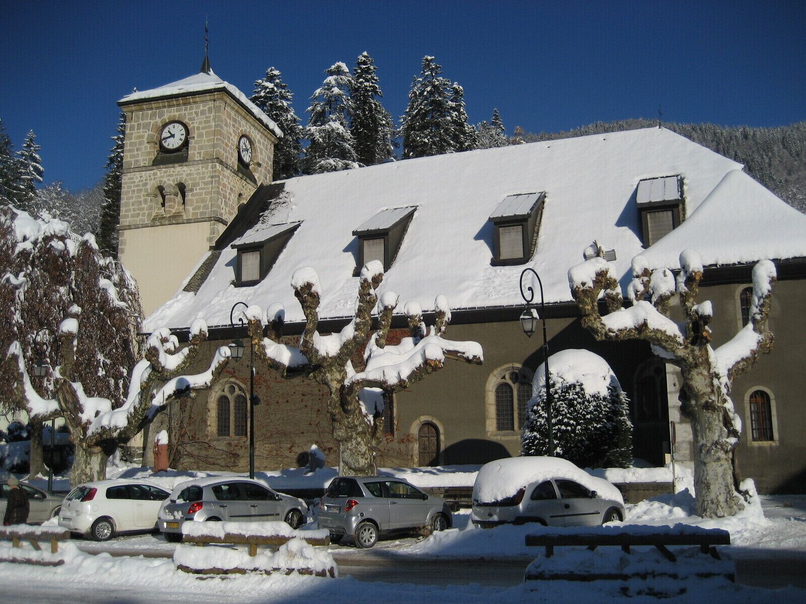 A building with a clock tower, snow-covered trees, and parked cars.