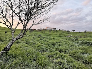 Terrain de l’hébergement 