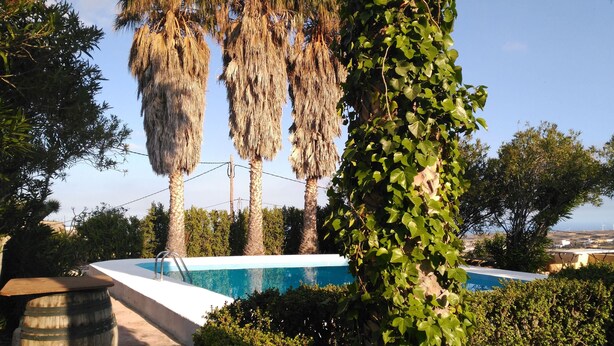 Une piscine dotée d’une terrasse en bois et d’un escalier en métal, entourée d’une végétation luxuriante et de grands palmiers.