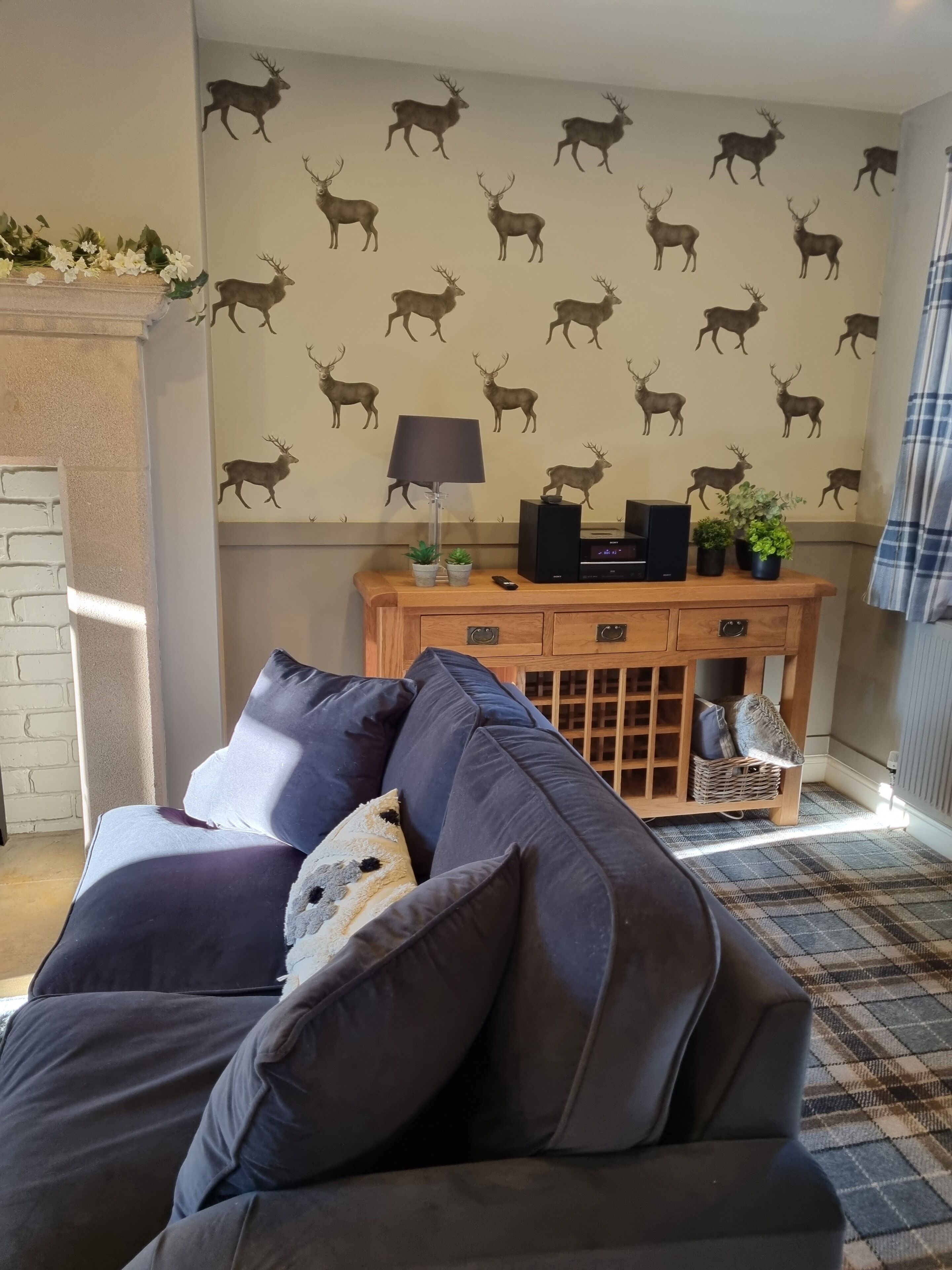 TV, fireplace, DVD player, books