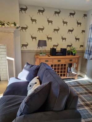 Télévision, cheminée, lecteur de DVD, livres