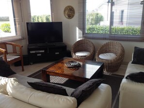 TV, fireplace, DVD player, books