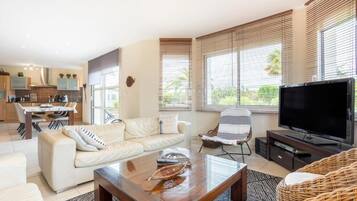 Télévision, cheminée, lecteur de DVD, livres