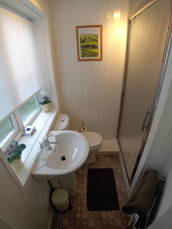 A bathroom with a sink, toilet, and shower. There is a window with a plant on the sill.