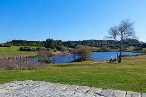 A stone pathway leading to a bench by a lake, surrounded by grassy areas and trees. - OPO-APT 110-1 Deco apartment in city center. Peacefull, pratiical, near all! (Porto)