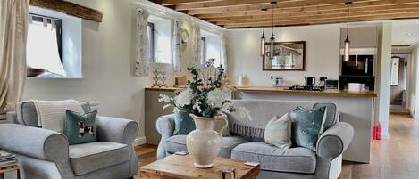 TV, DVD player, books, video library