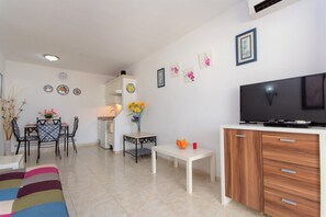 Smart TV, DVD player, books, video library