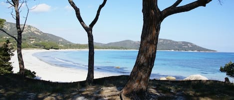 Plage à proximité, serviettes de plage