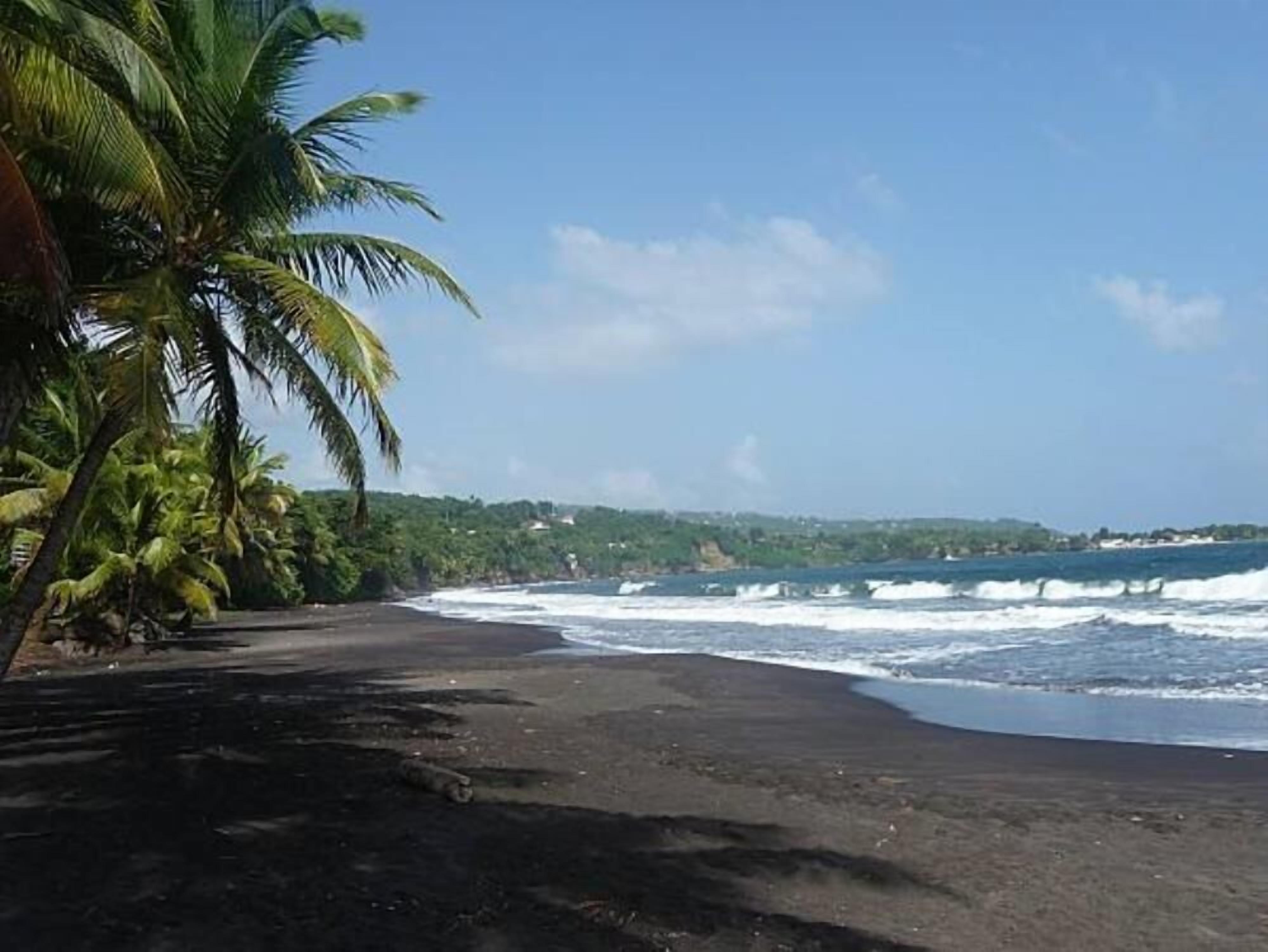 Une plage de sable noir, bordée de palmiers et baignée par les vagues.