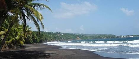 Ein Strand mit dunklem Sand, Palmen und Wellen.