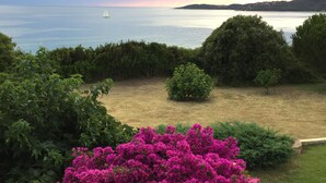 Ett kustlandskap med ett gräsområde, tät buskvegetation och en frodigt rosa blommande buske.
