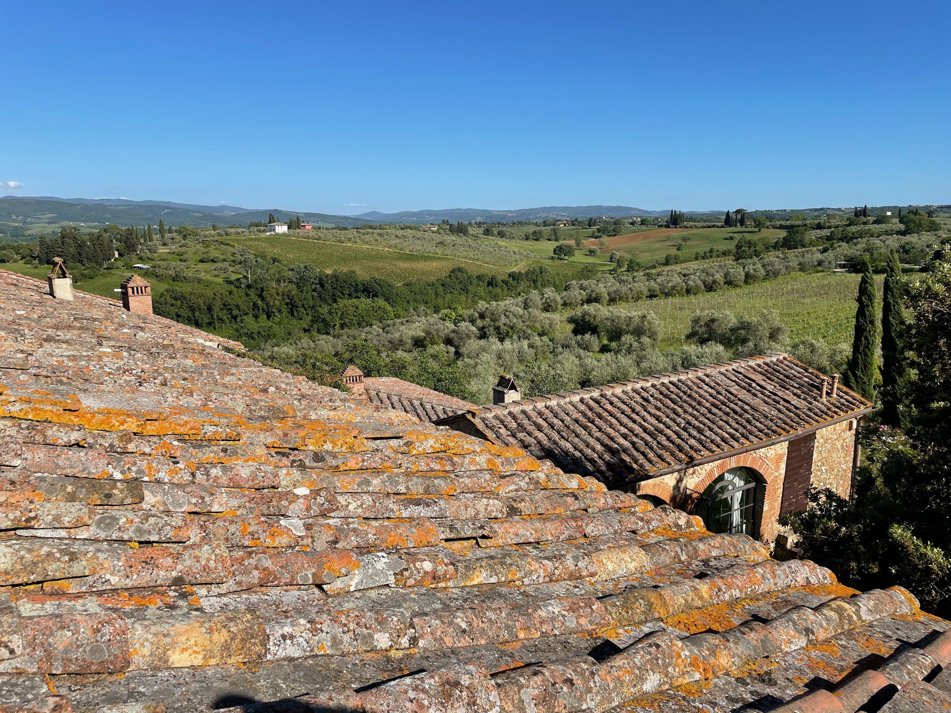 A rustic building with a sloped roof and a small arched doorway, overlooking a vineyard and rolling hills.
