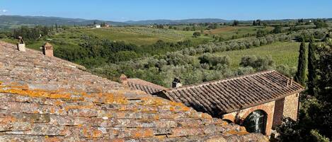 A rustic building with a sloped roof and a small arched doorway, overlooking a vineyard and rolling hills.