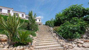 A stone staircase leading to a building with white walls and a tiled roof, surrounded by cacti and shrubs.