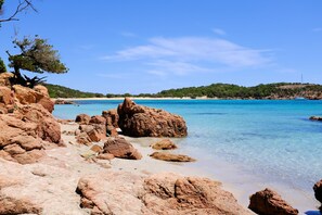 Beach nearby - Studio - Porto Vecchio (Porto-Vecchio)