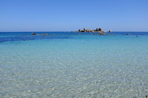 Beach nearby - Studio - Porto Vecchio (Porto-Vecchio)