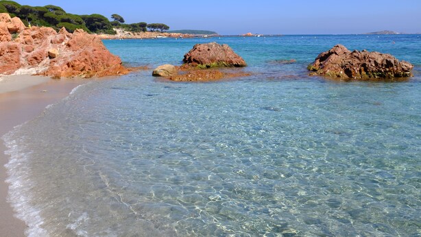 A beach with clear water, rocky formations, and distant trees. - Studio - Porto Vecchio (Porto-Vecchio)