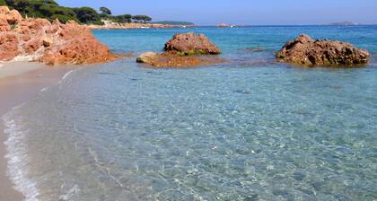 Einzimmerwohnung - Porto Vecchio