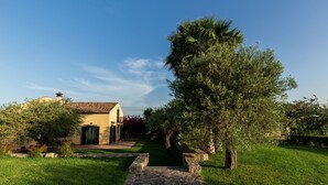 A house with a stone pathway leading to a green door, surrounded by lush greenery and a clear blue sky.