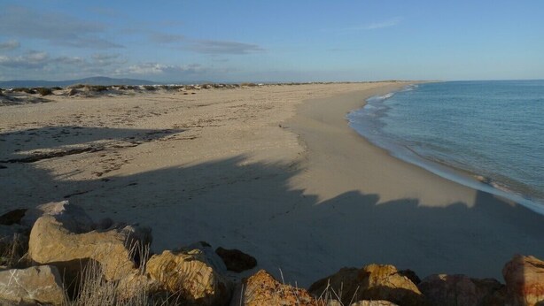 Ein Strand mit blauem Himmel, sandigem Ufer und großen Felsen im Vordergrund.