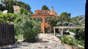 A courtyard with a mosaic-tiled floor, a pergola, and a variety of plants.
