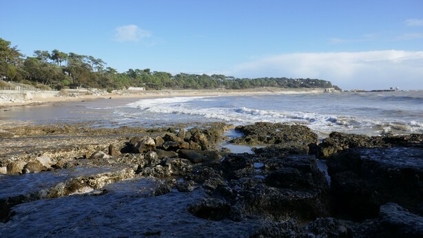A rocky beach with waves, trees, and a distant shoreline.